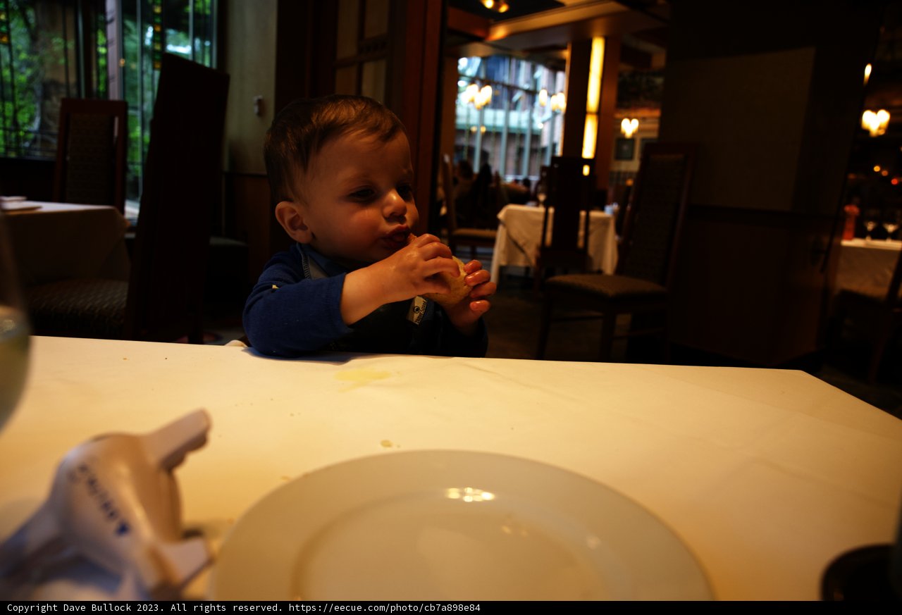 Magical Mealtime at Disneyland