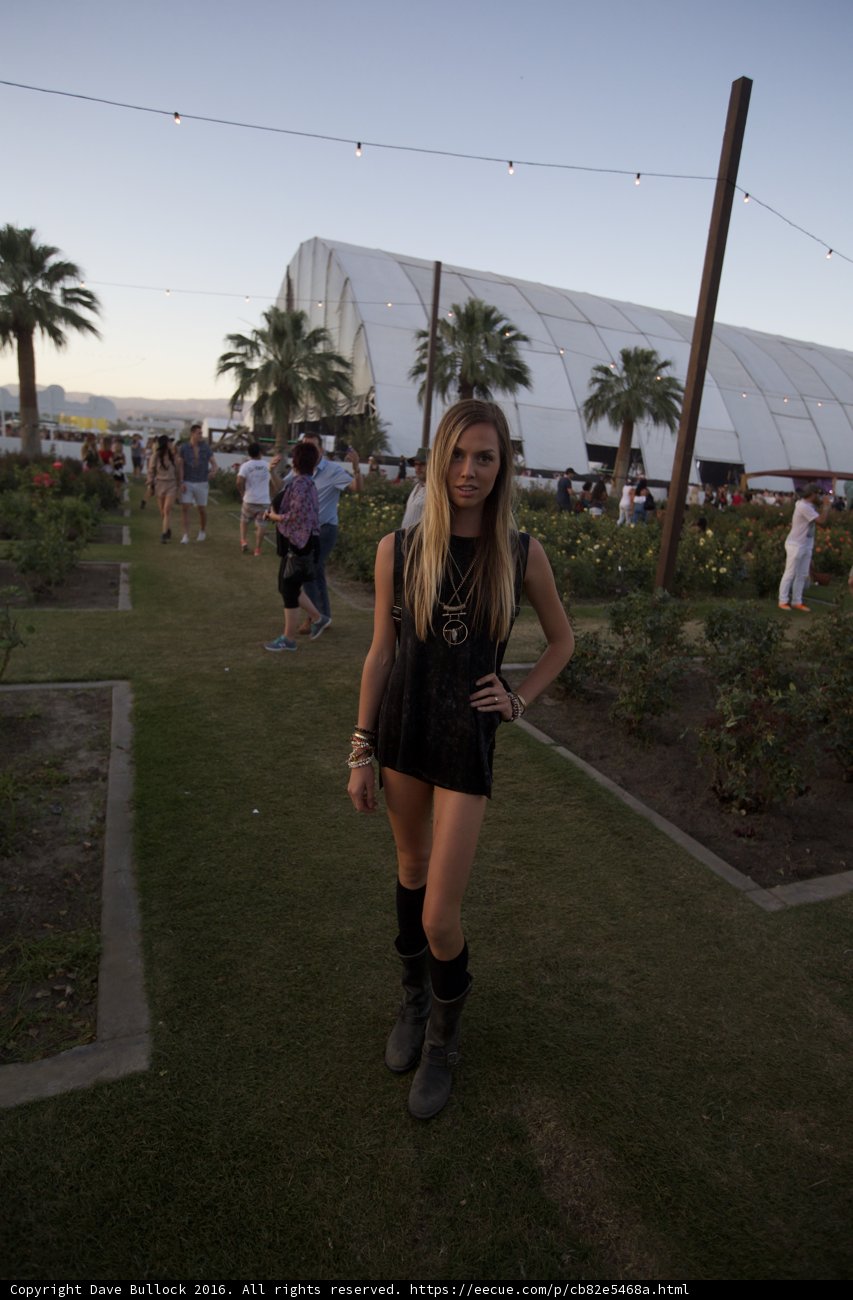 Coachella Chic
