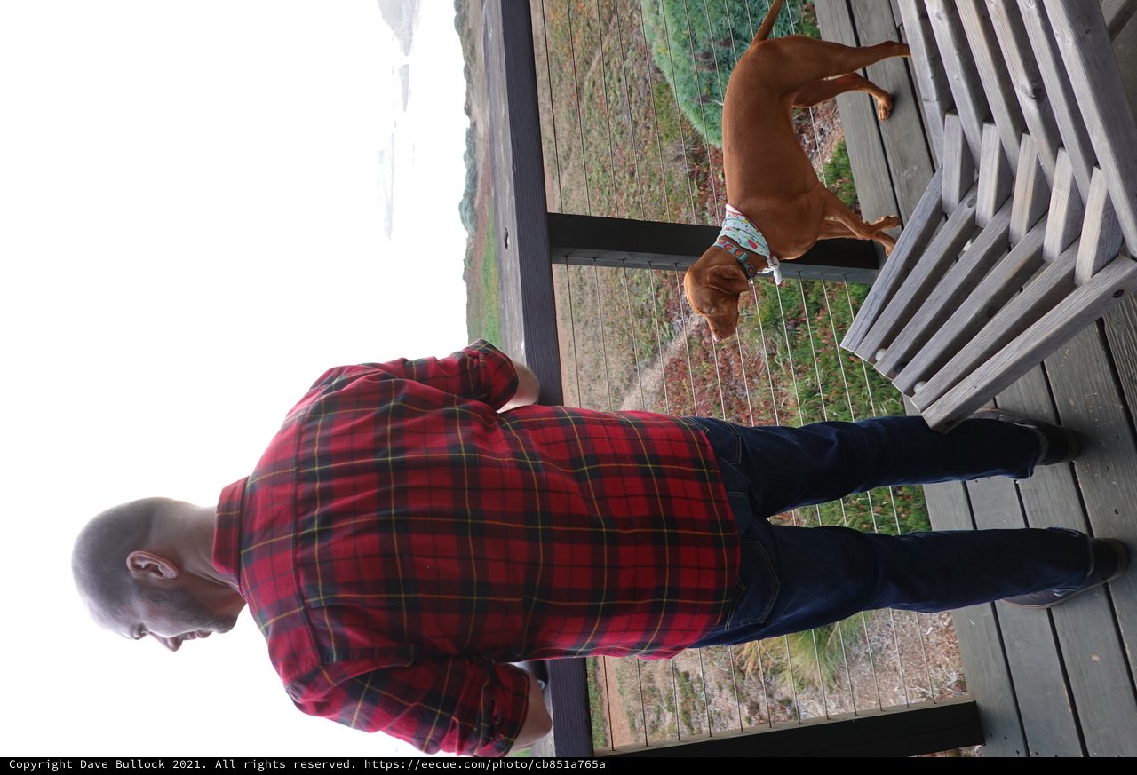 Man and Dog Overlooking Coastal Landscape