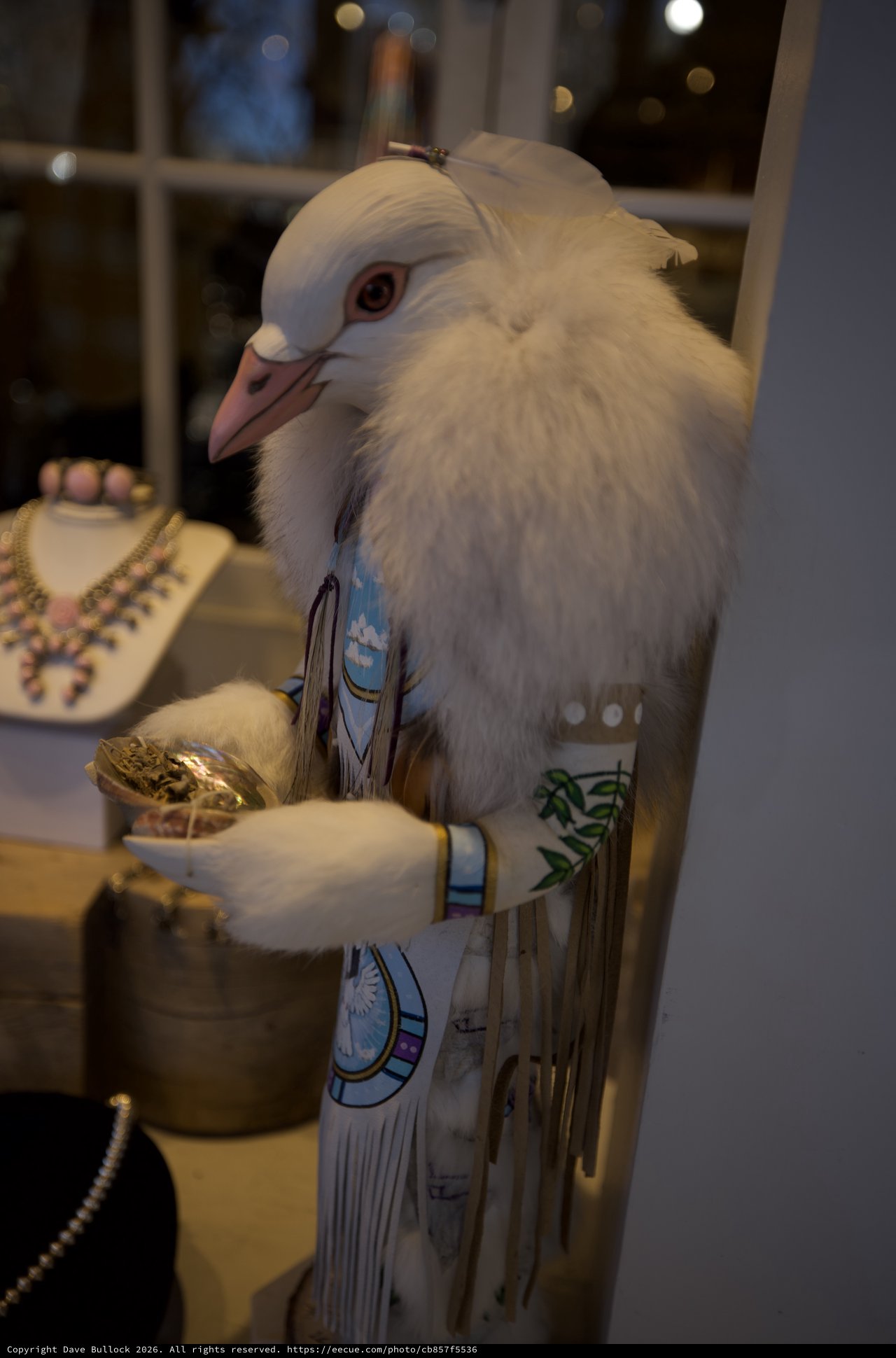 White Dove Admiring Jewelry in Santa Fe Shop