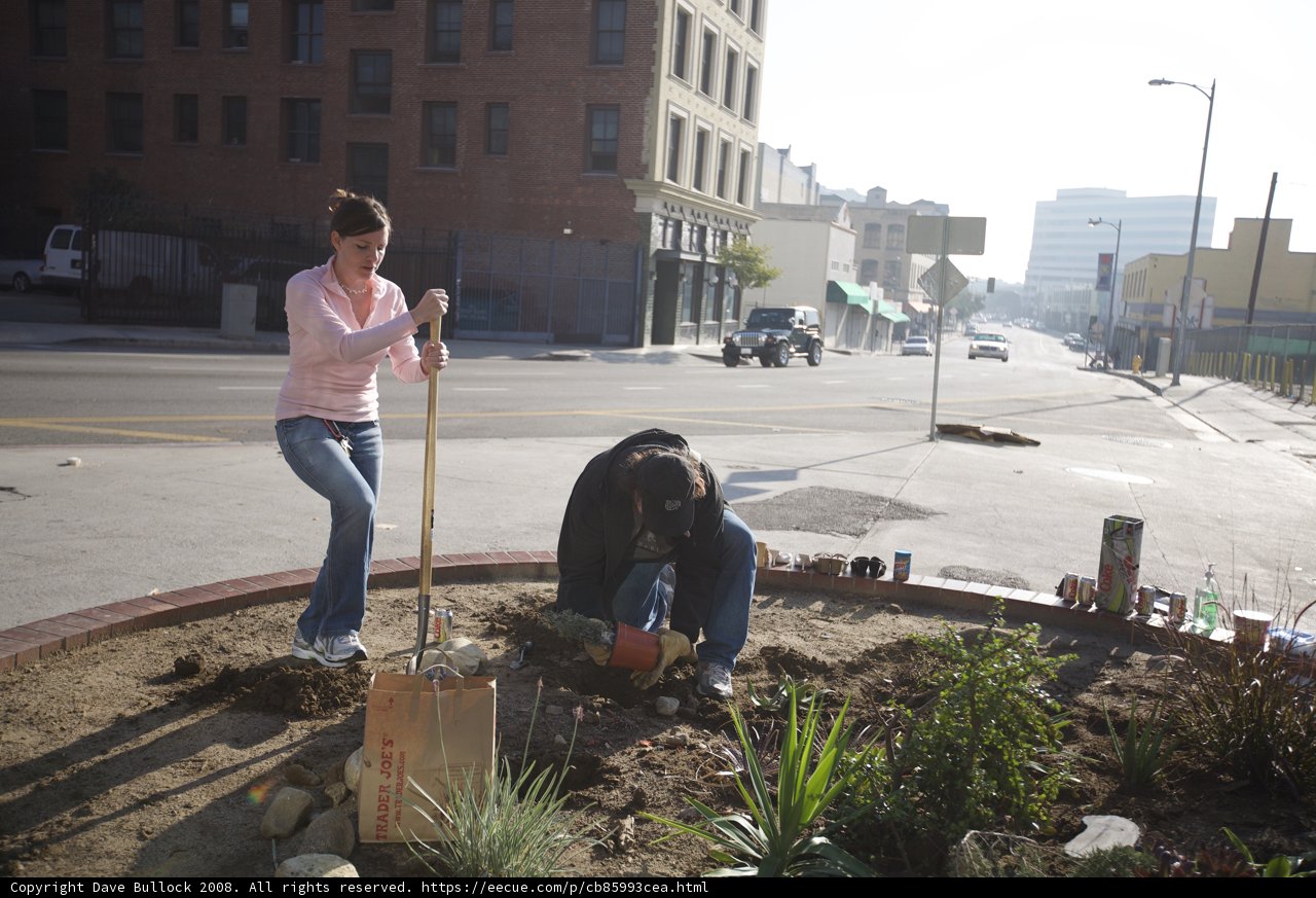 Planting Roots