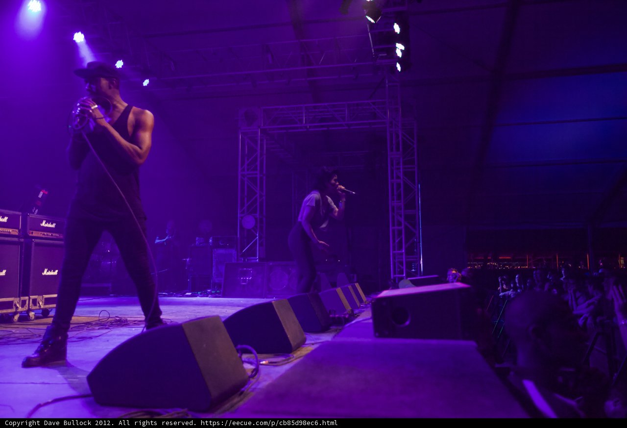 Purple Haze Concert