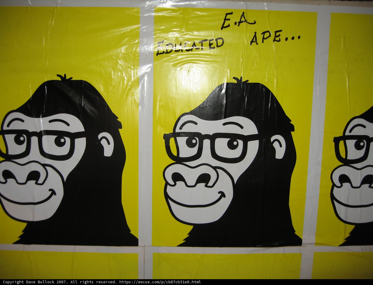 Educated Apes Advertisement