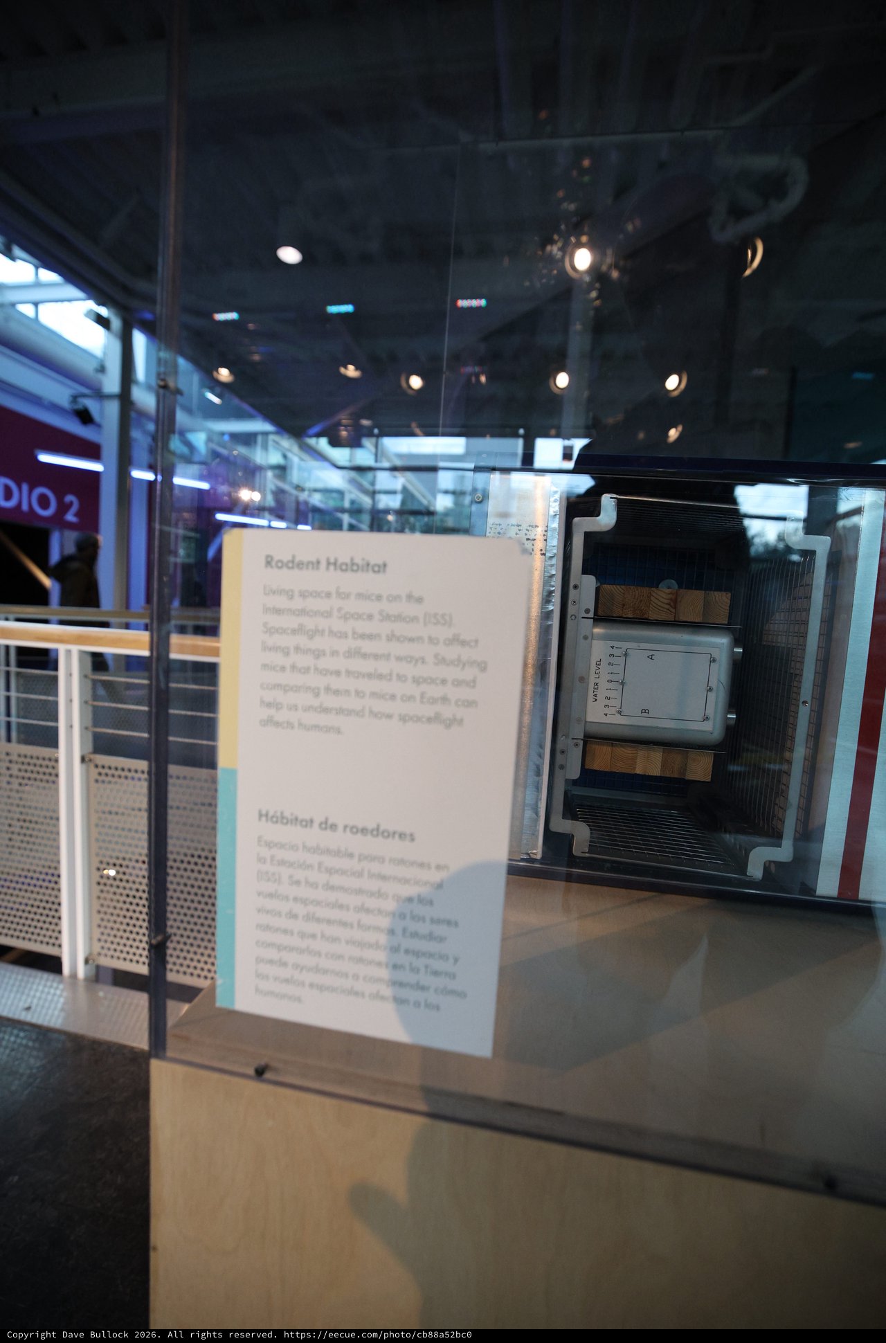 Rodent Habitat Display at Space Science Museum