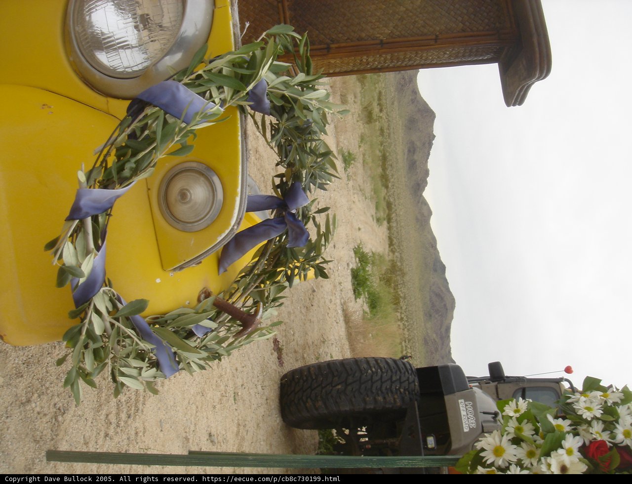 Bright and Blooming Ride