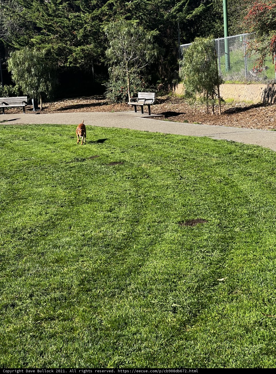 Peaceful Stroll in the Park