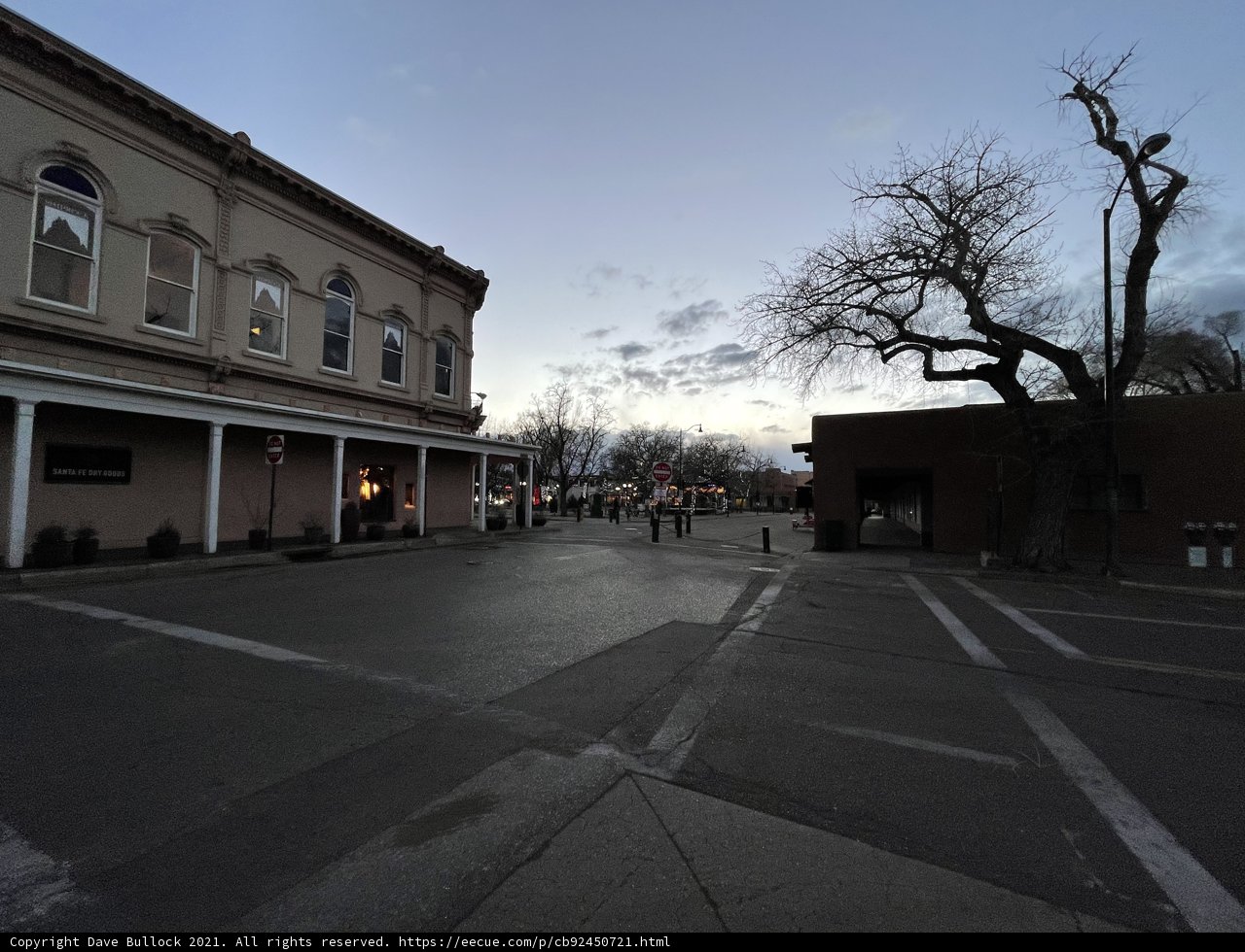 Tree-Lined Street in Santa Fe