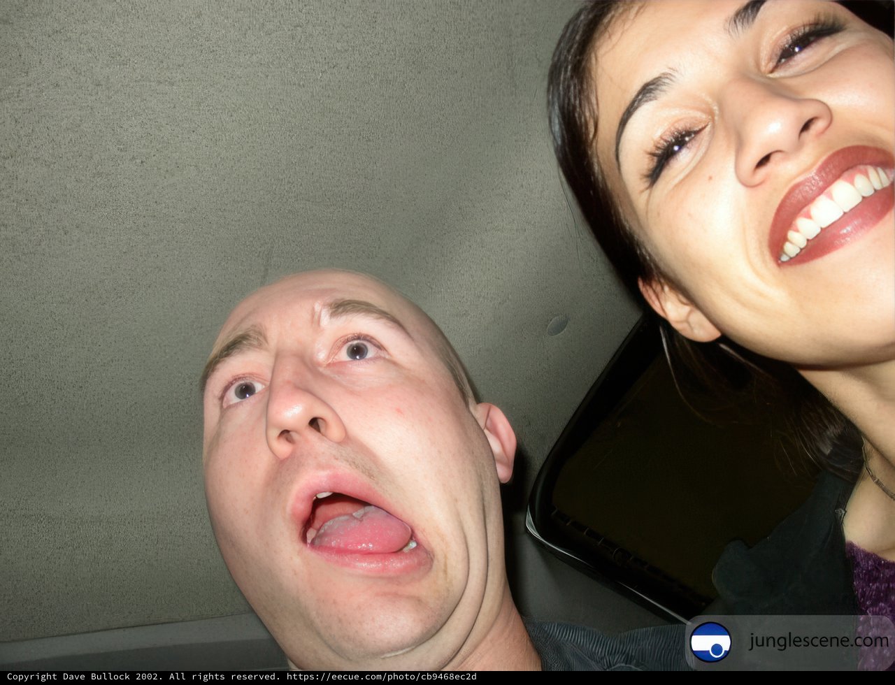 Back Seat Laughter