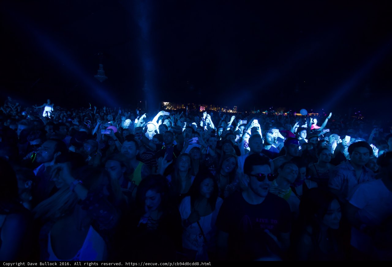 The Lit Crowd at Coachella
