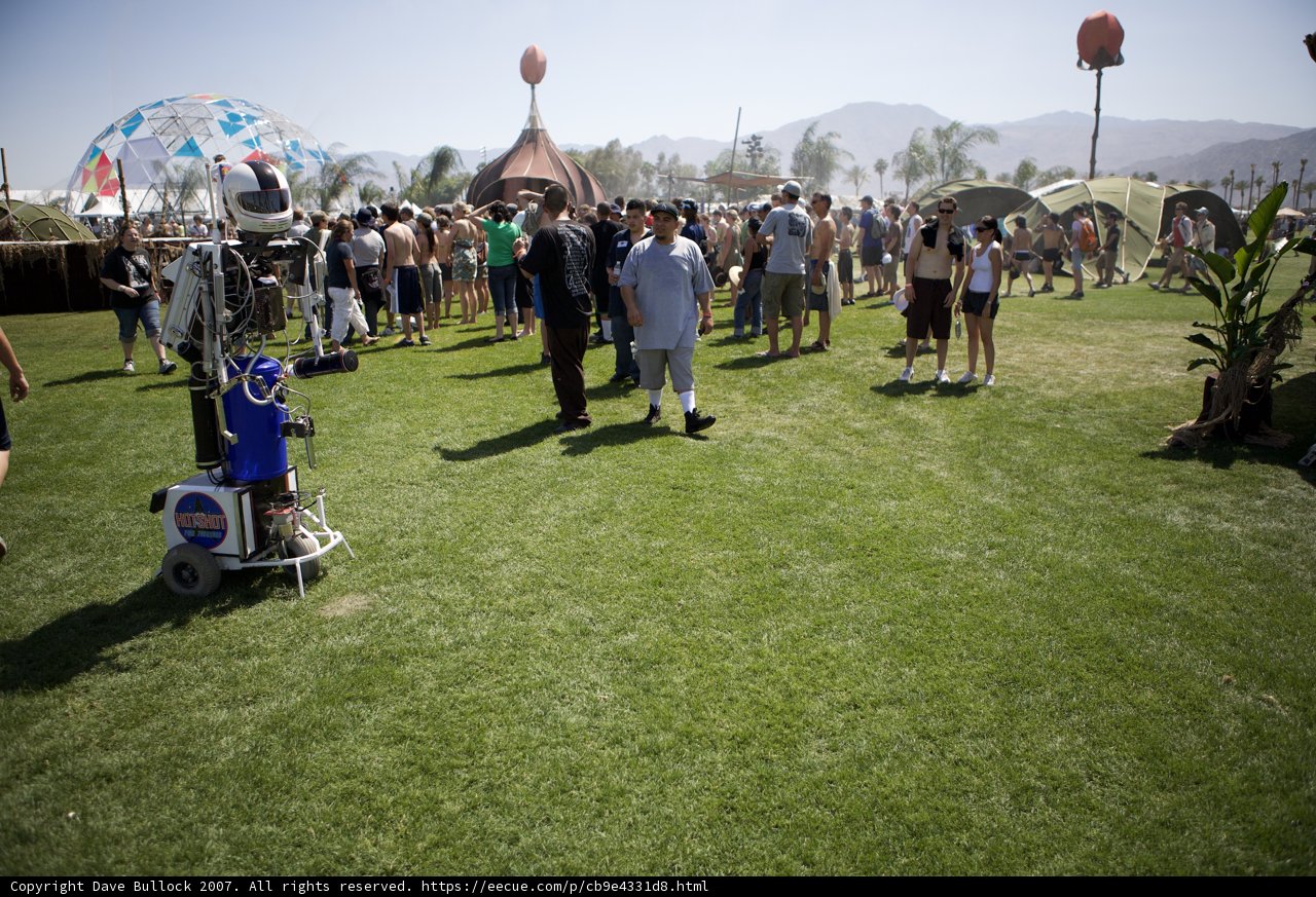 Festival Crowd on a Sunny Day