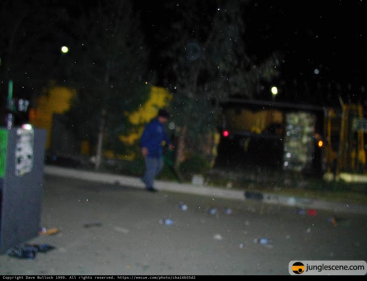 Alone in the Night