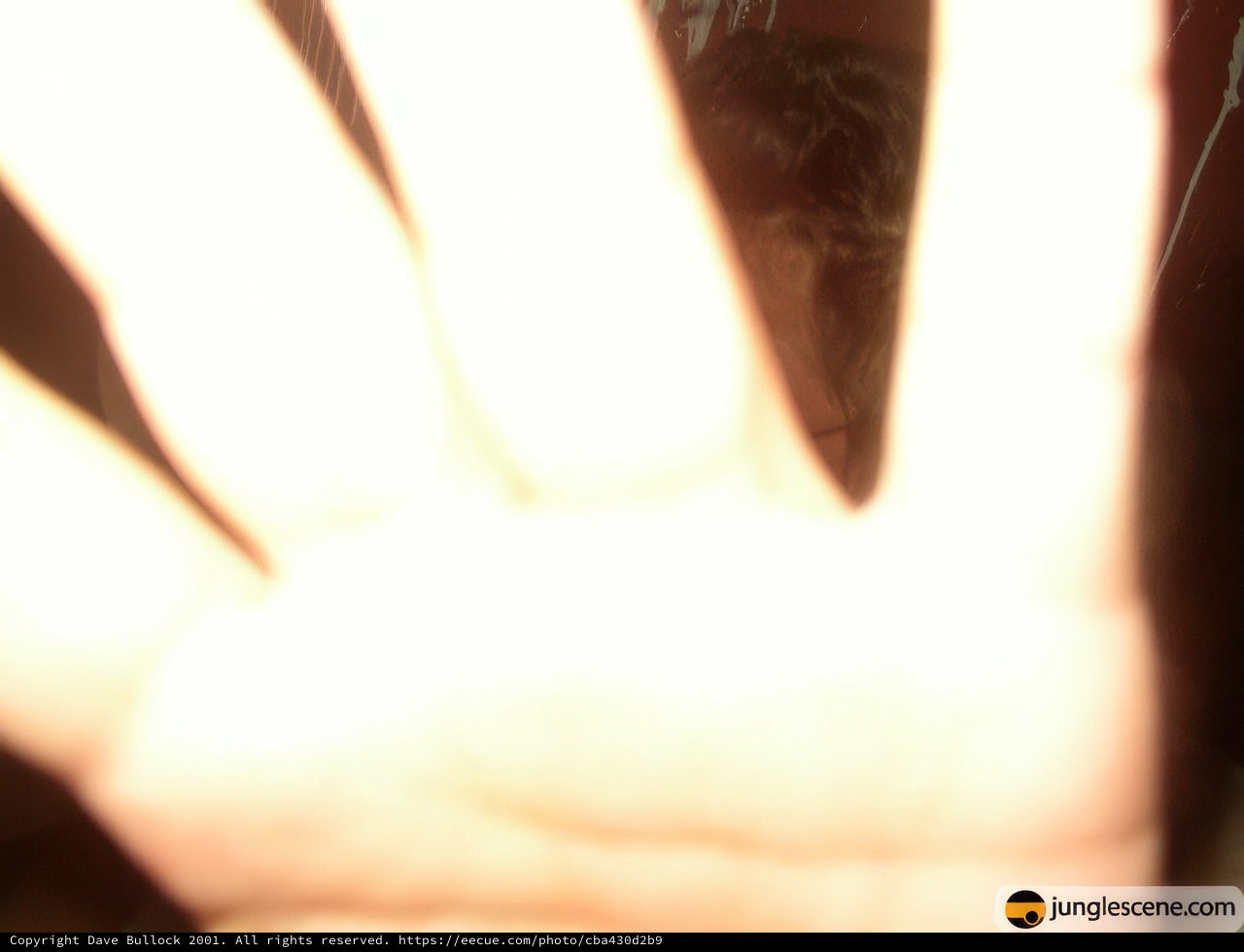 Hand High Five