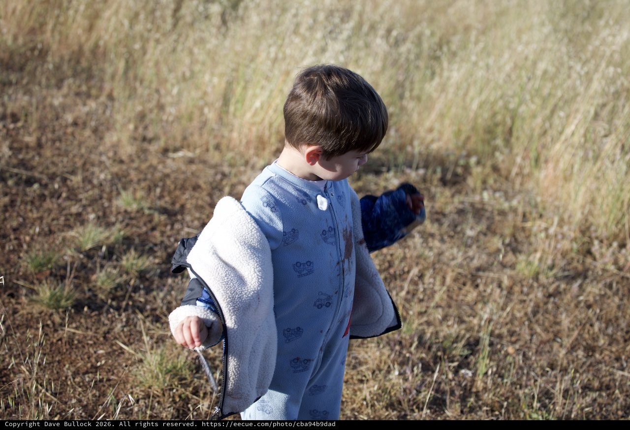 Young Explorer Walking Through Golden Meadow Grass