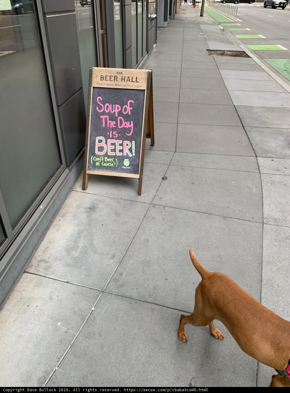 Singing Dog