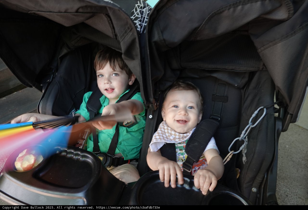 Joyful Stroller Adventures