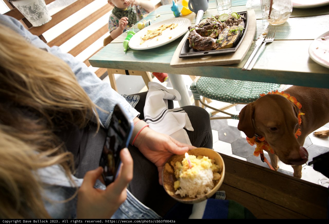 A Casual Luncheon in San Francisco