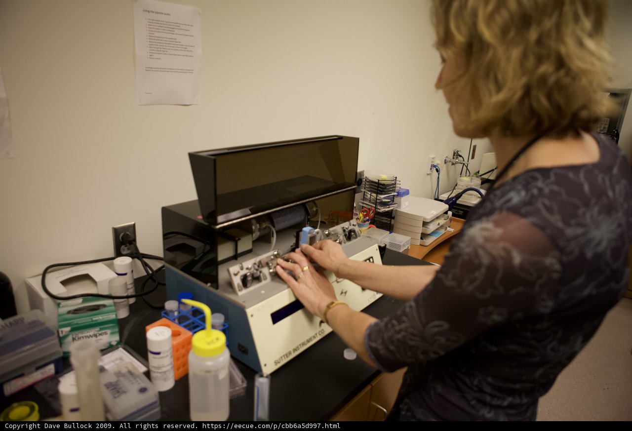 Computer Work in the Lab