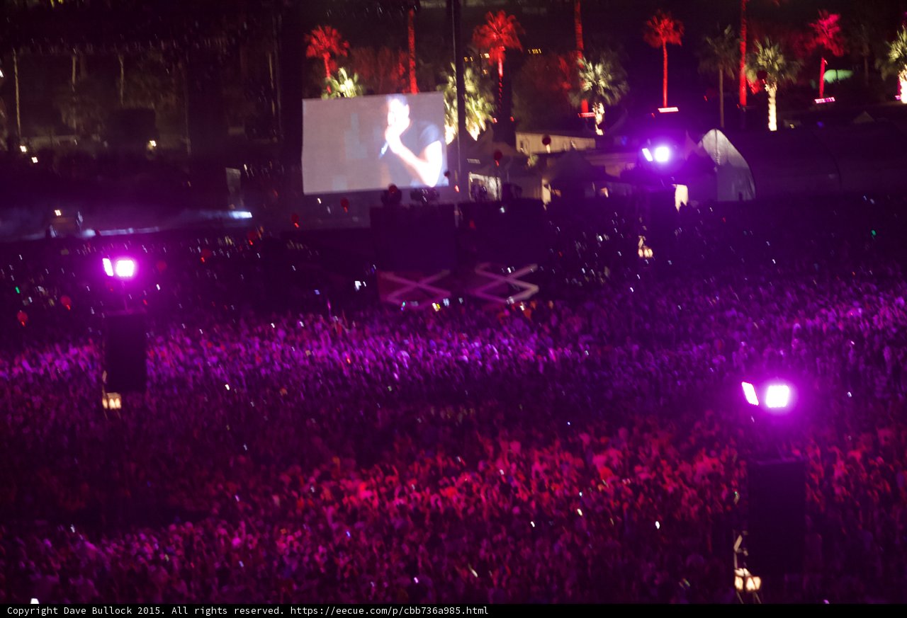 Purple Haze at Coachella