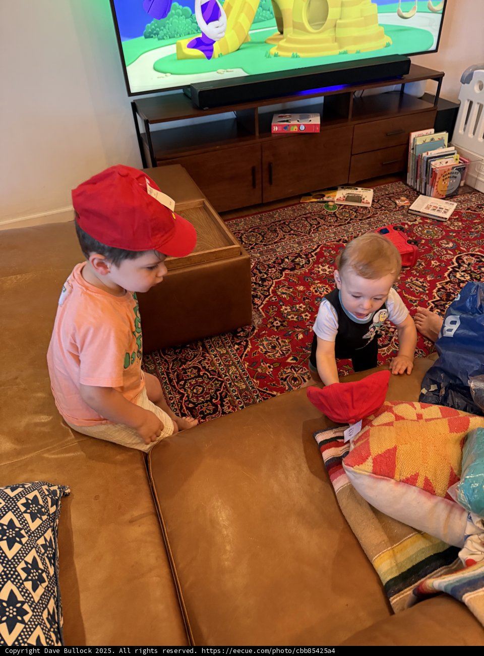 Little Adventures in the Living Room