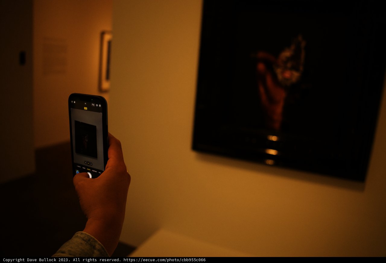 Art Through a Digital Lens
