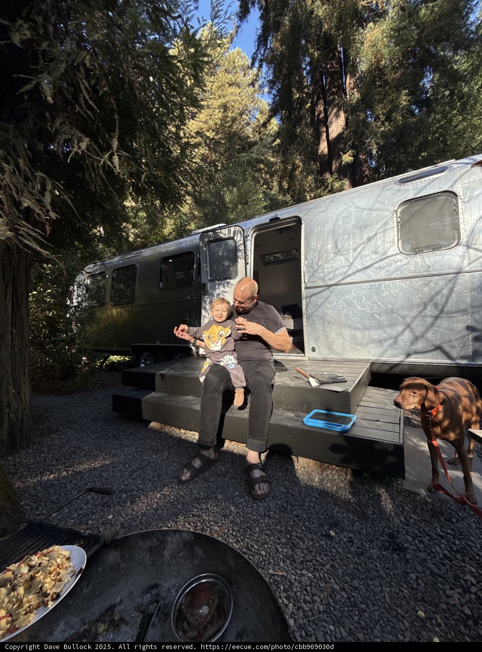 Forest Retreat with Family and Furry Friend