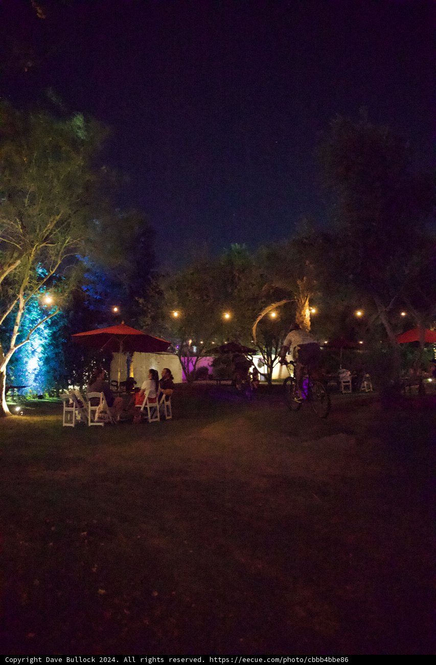 Enchanted Coachella Evenings