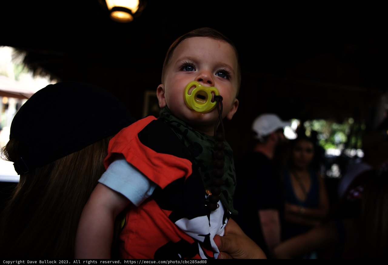 Baby's Day Out at Disneyland