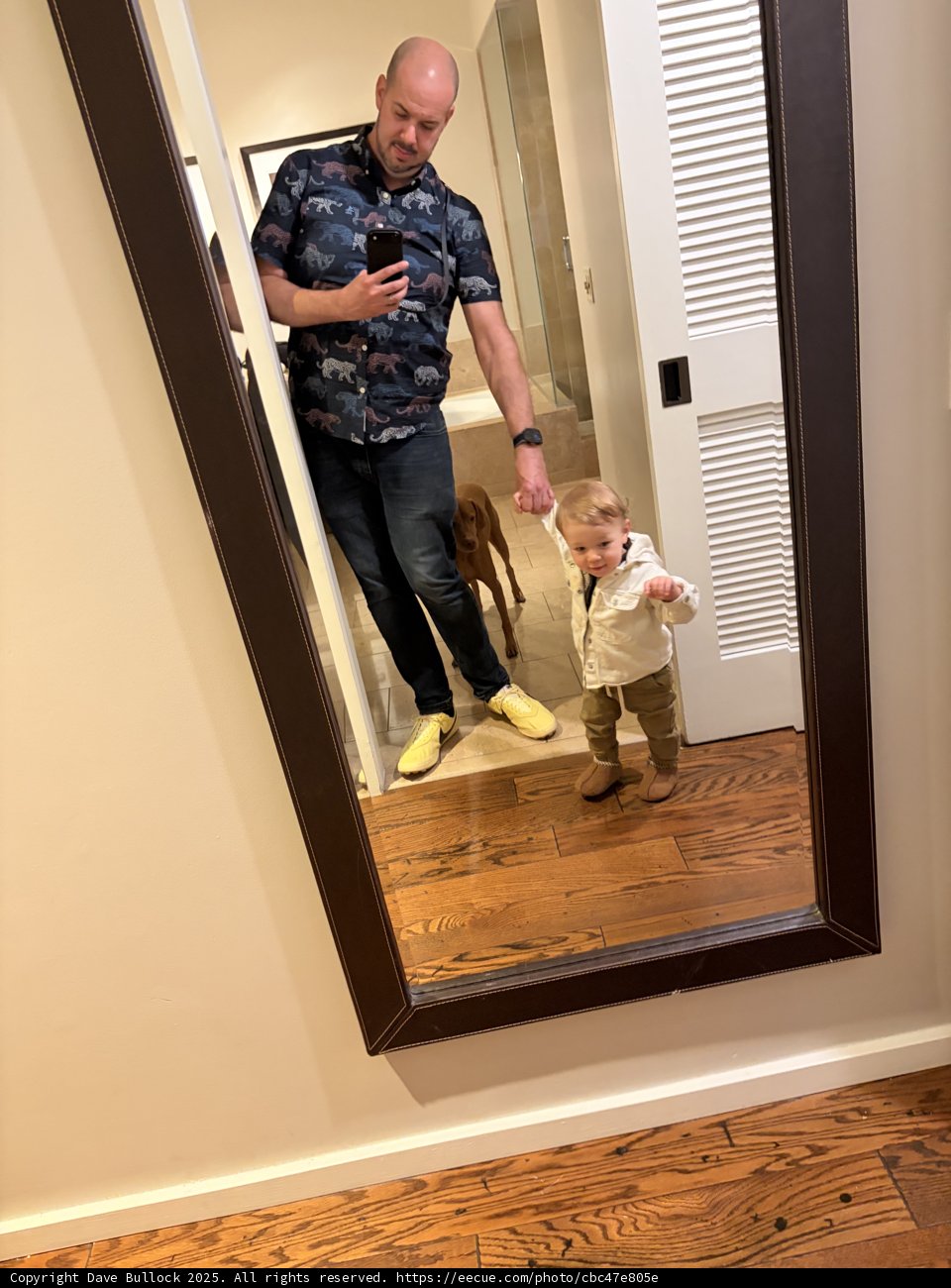 Reflection of Joy