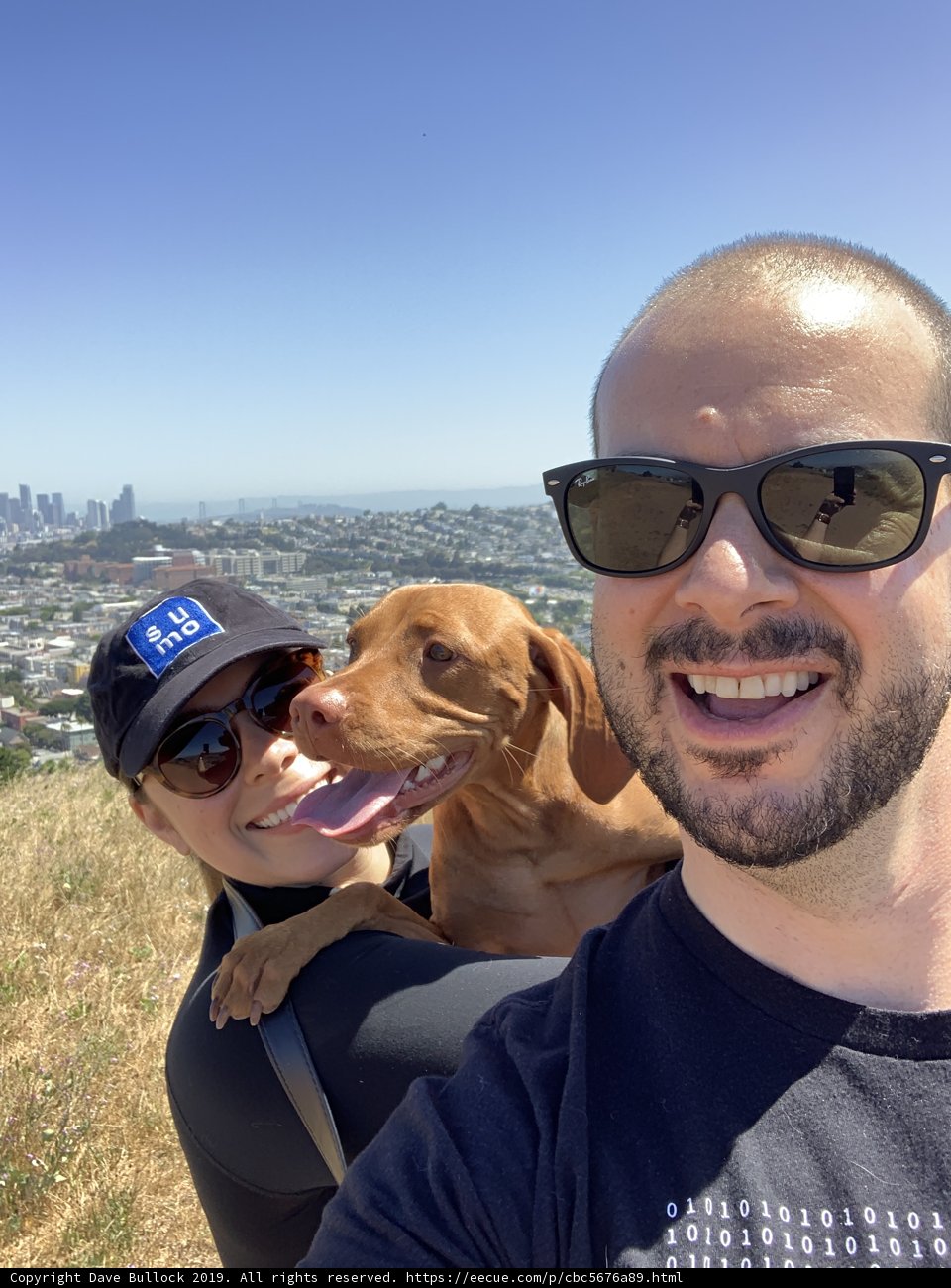 Selfie Fun with Furry Friends