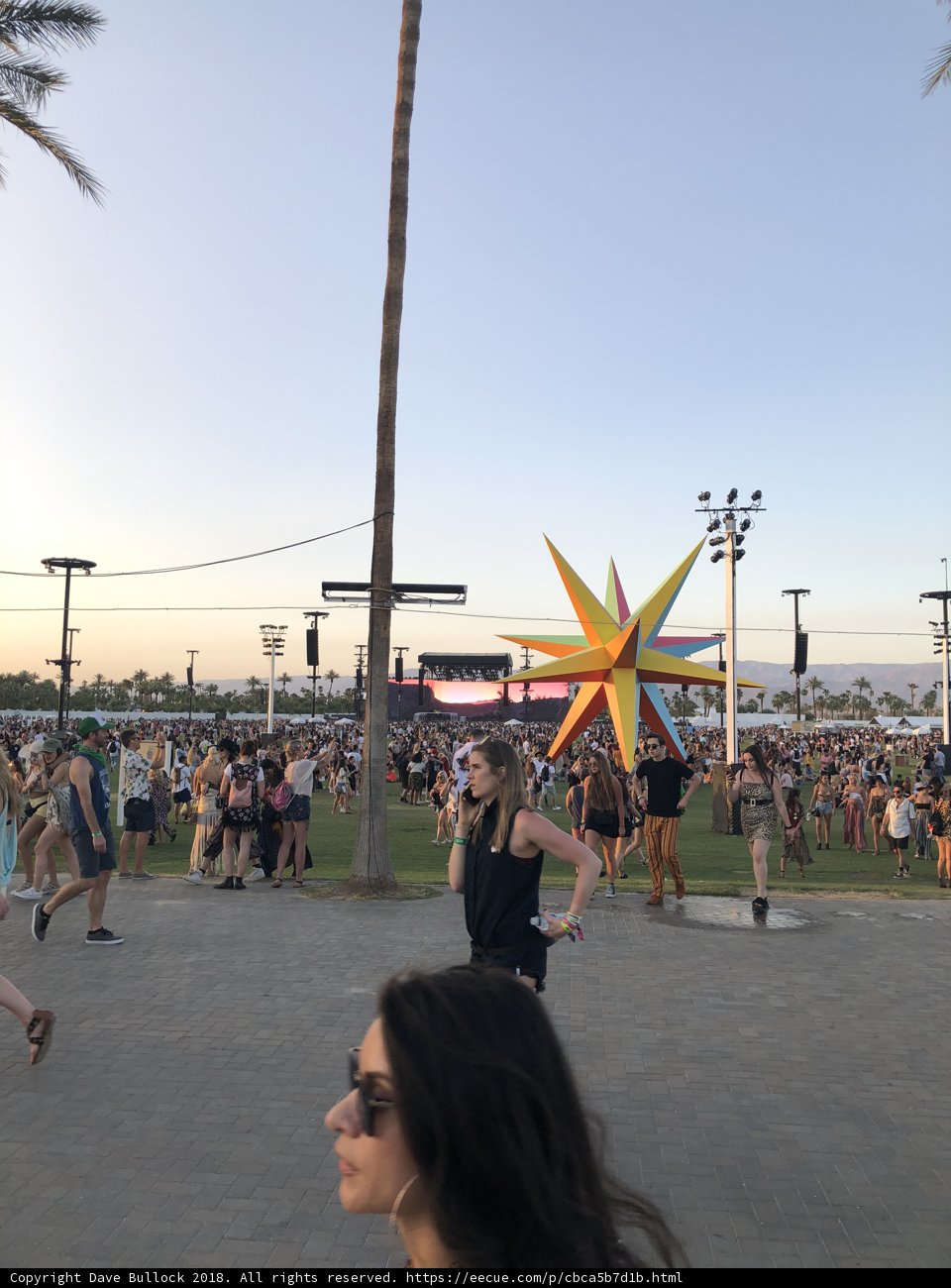 A Stroll through the Palms