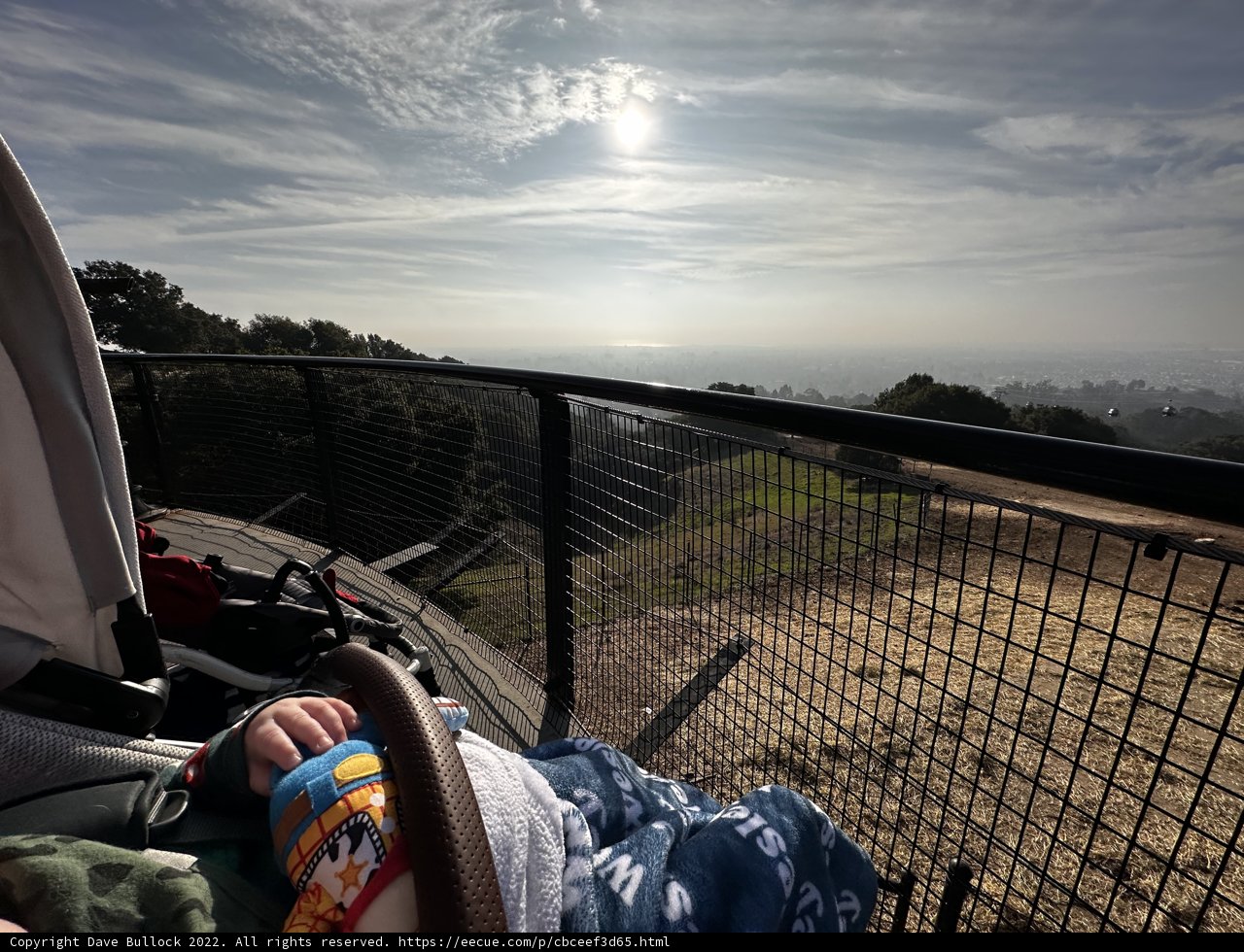 Overlooking the Hills at Oakland Zoo