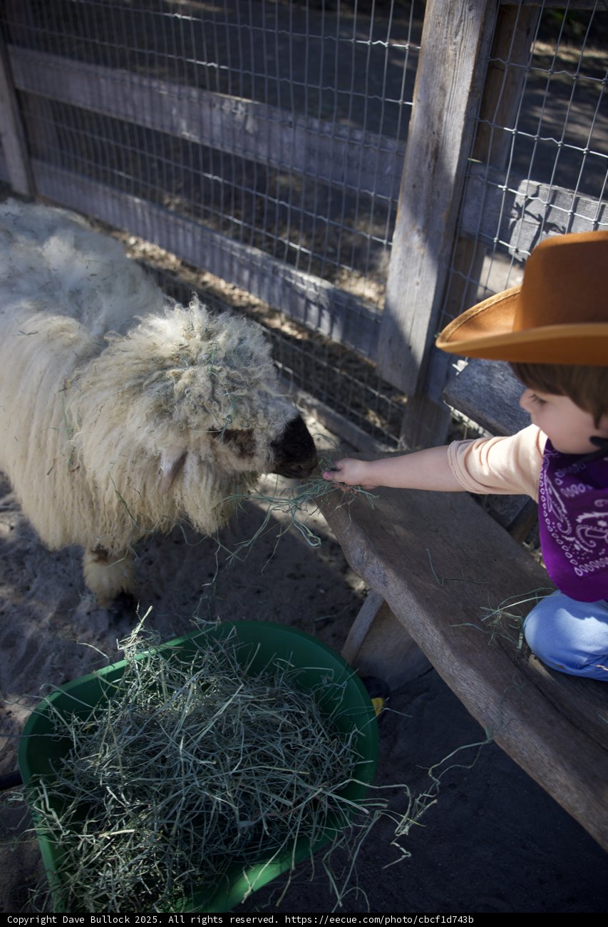 Cowboy Encounters: A Moment at Carmel Valley Ranch