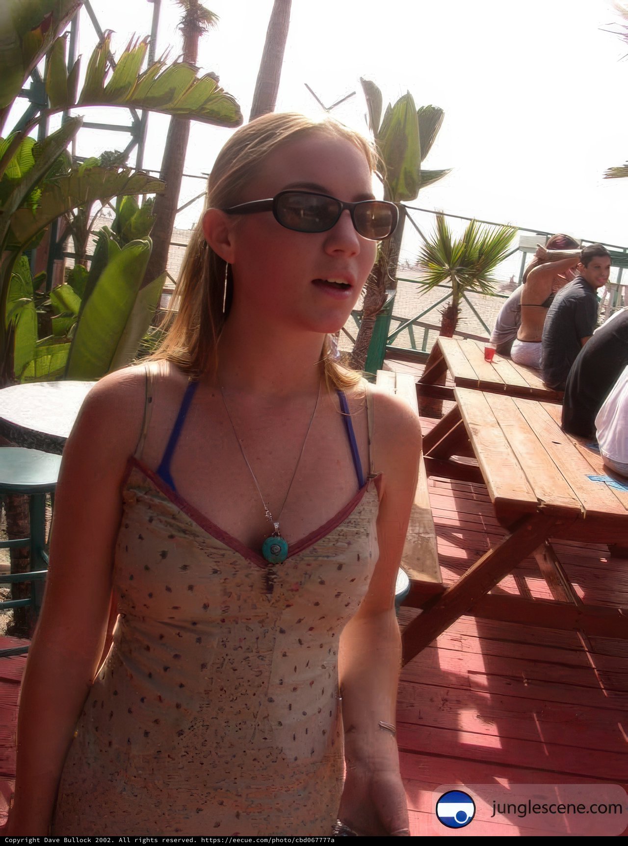 Summer Vibes on the Ensenada Patio