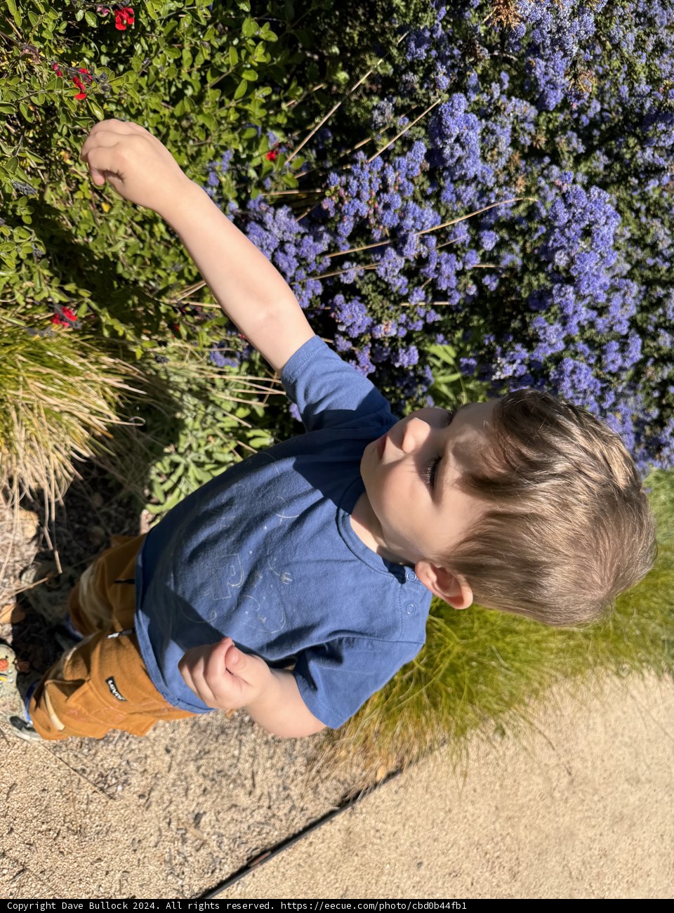 Exploring Nature's Palette