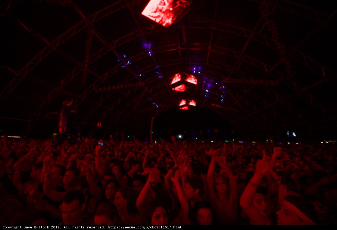 Electrifying Crowd at Coachella