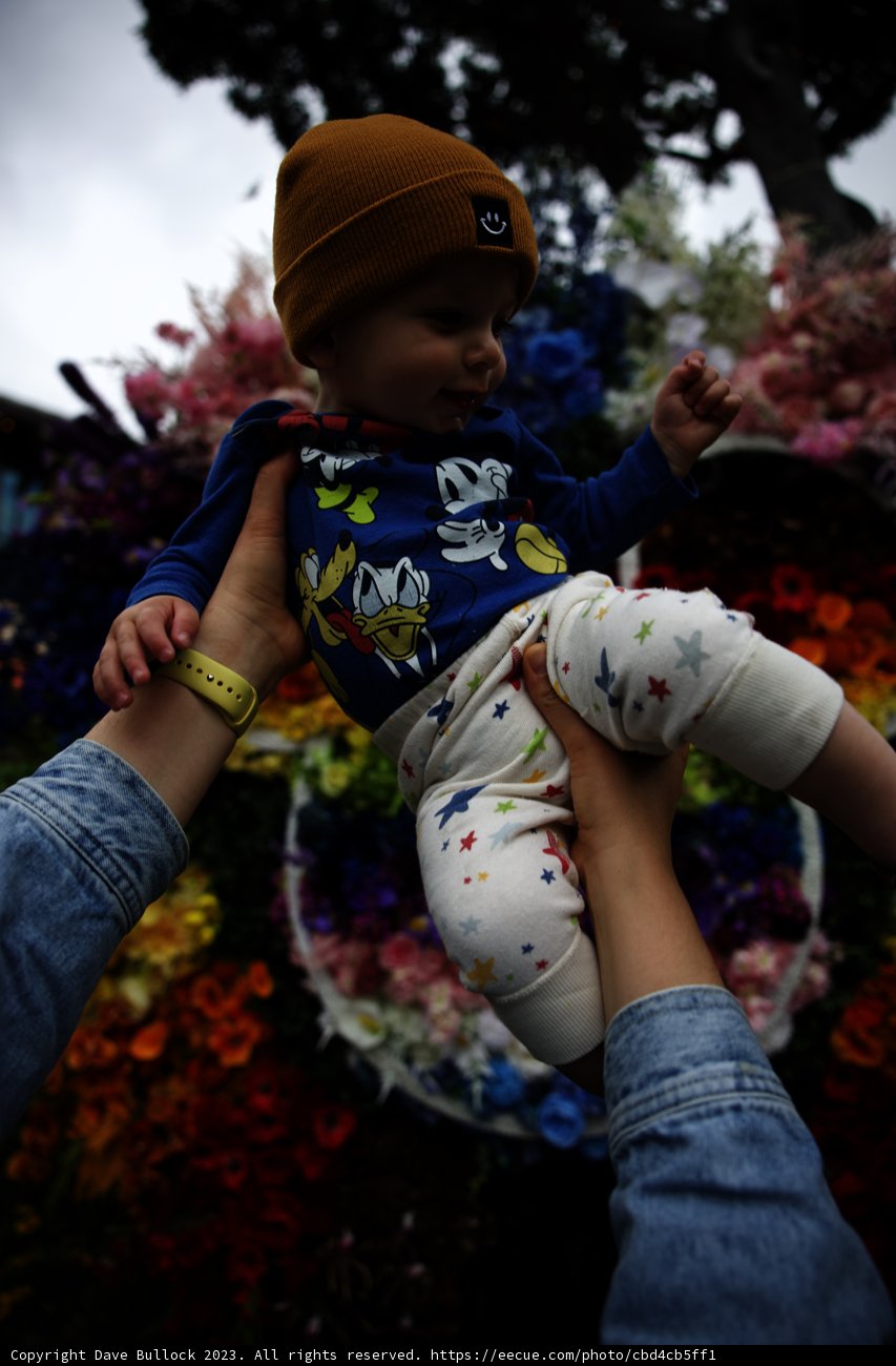 Blooming Bond: Baby and Mother at Disneyland