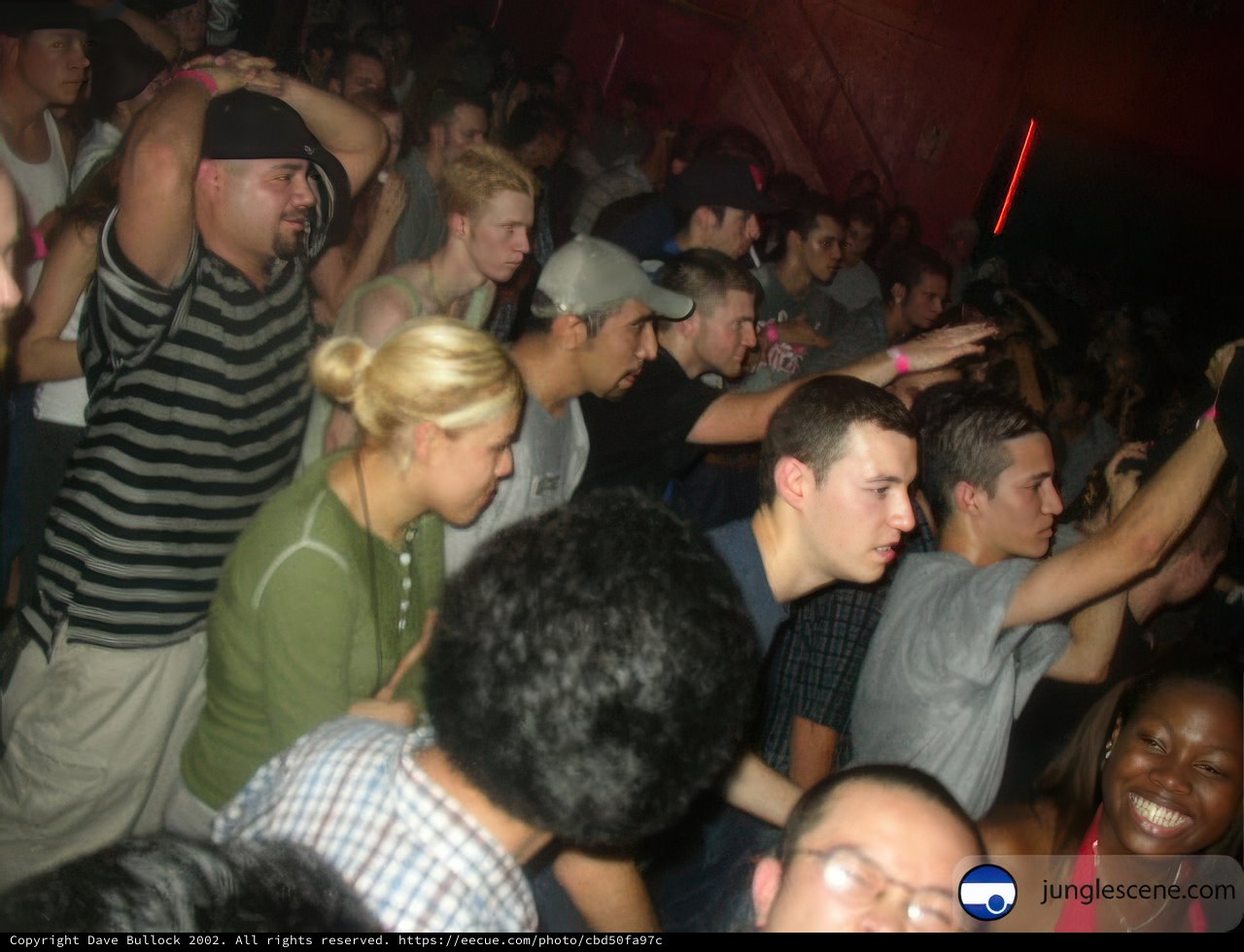 Party at the Night Club