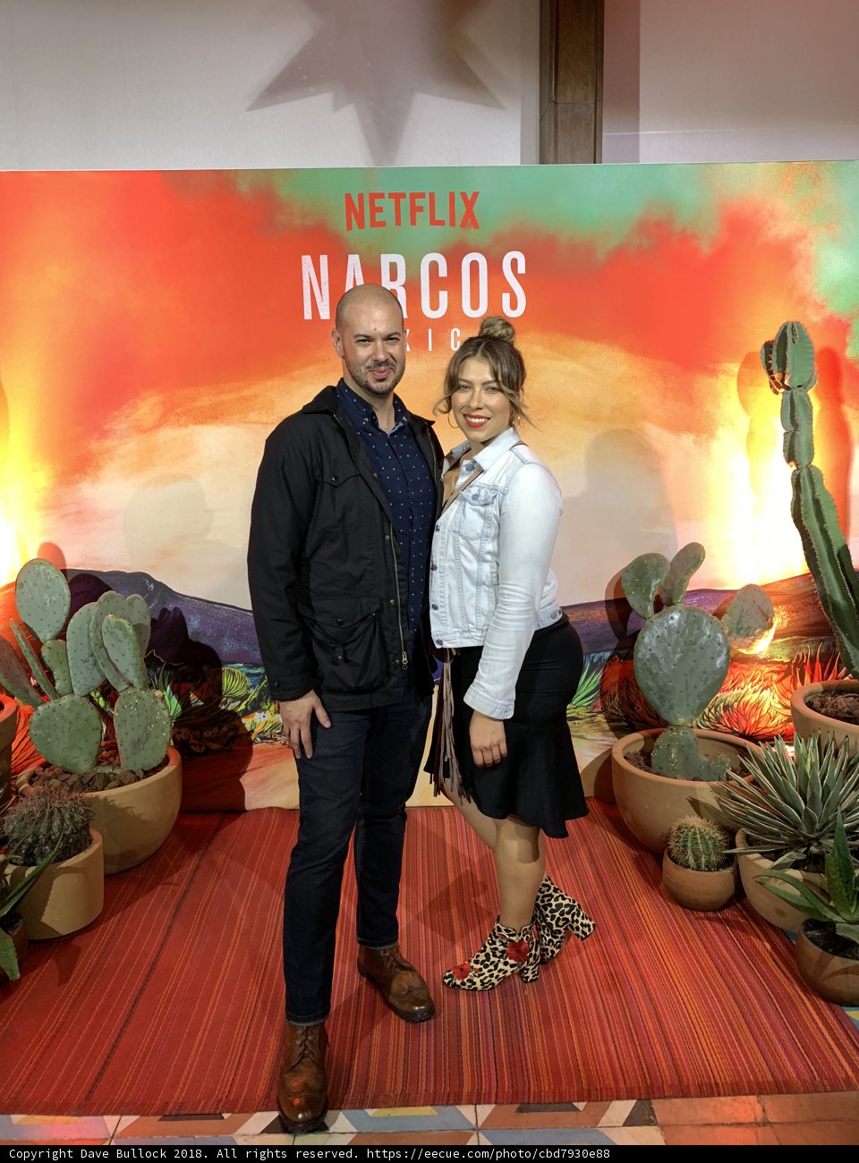 Desert Decor