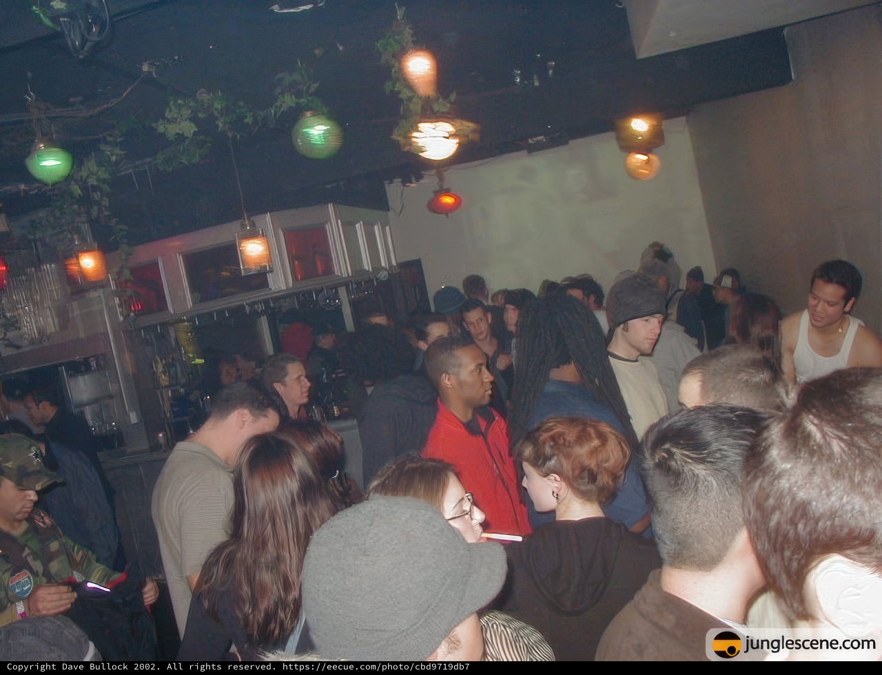 Nightclub Crowd at Disco Party
