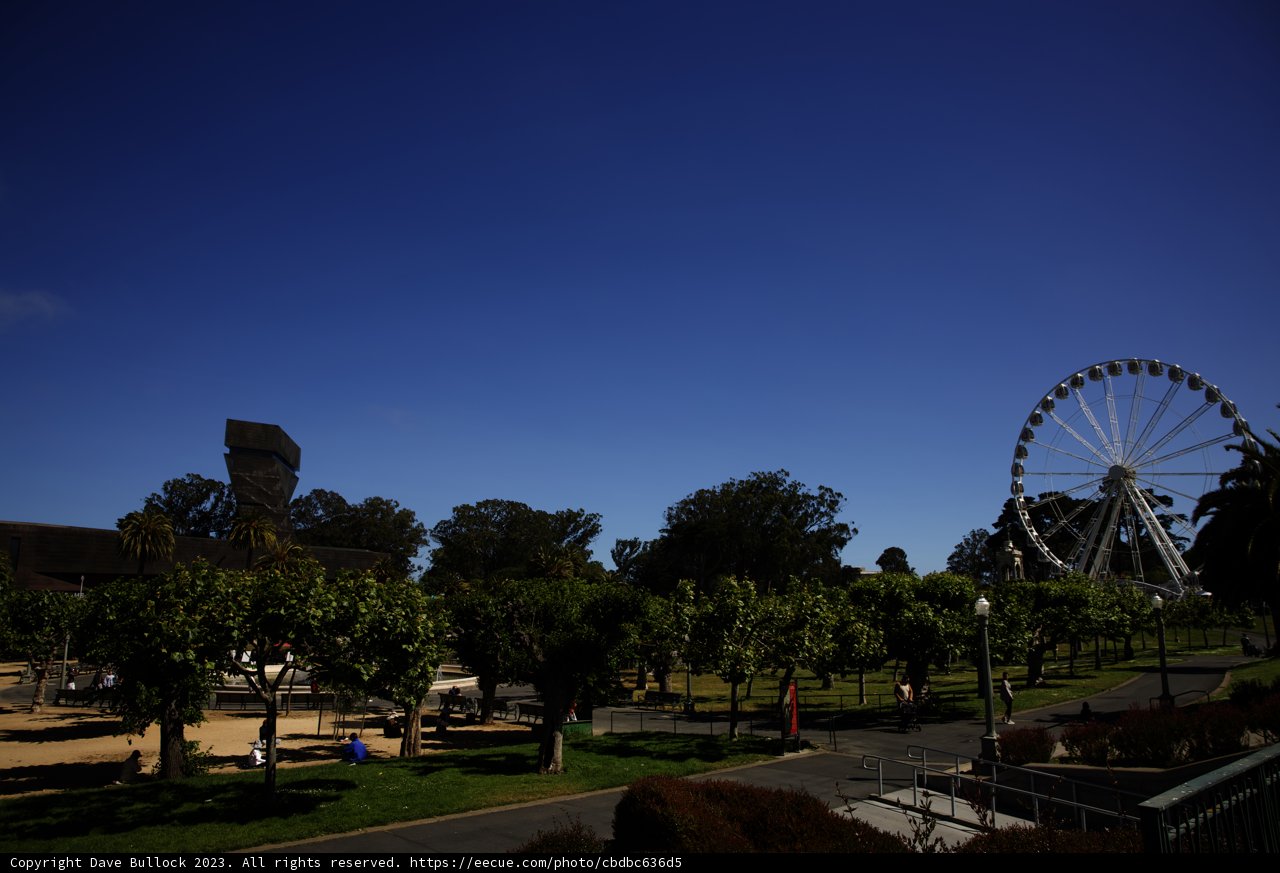 A Whimsical Day at the Amusement Park
