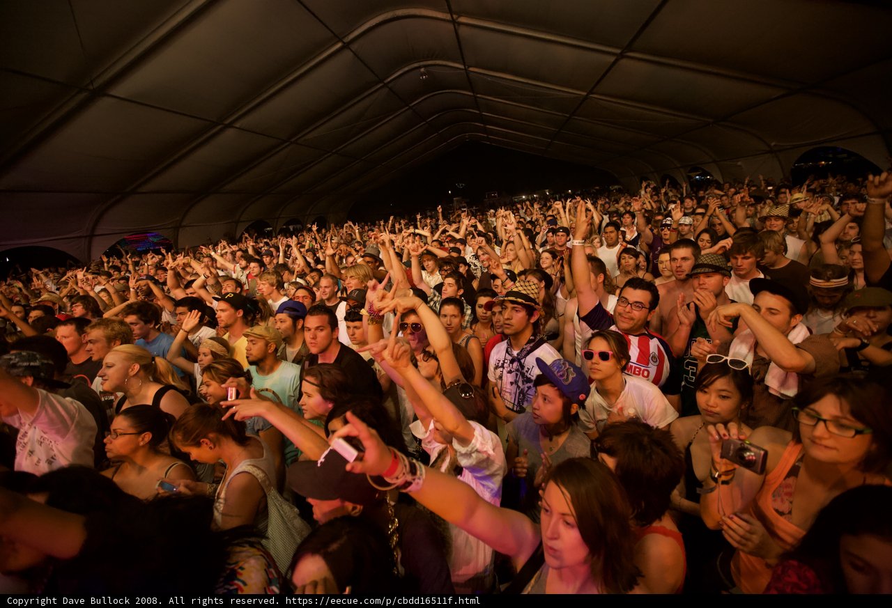 Electric Vibes at Coachella 2008