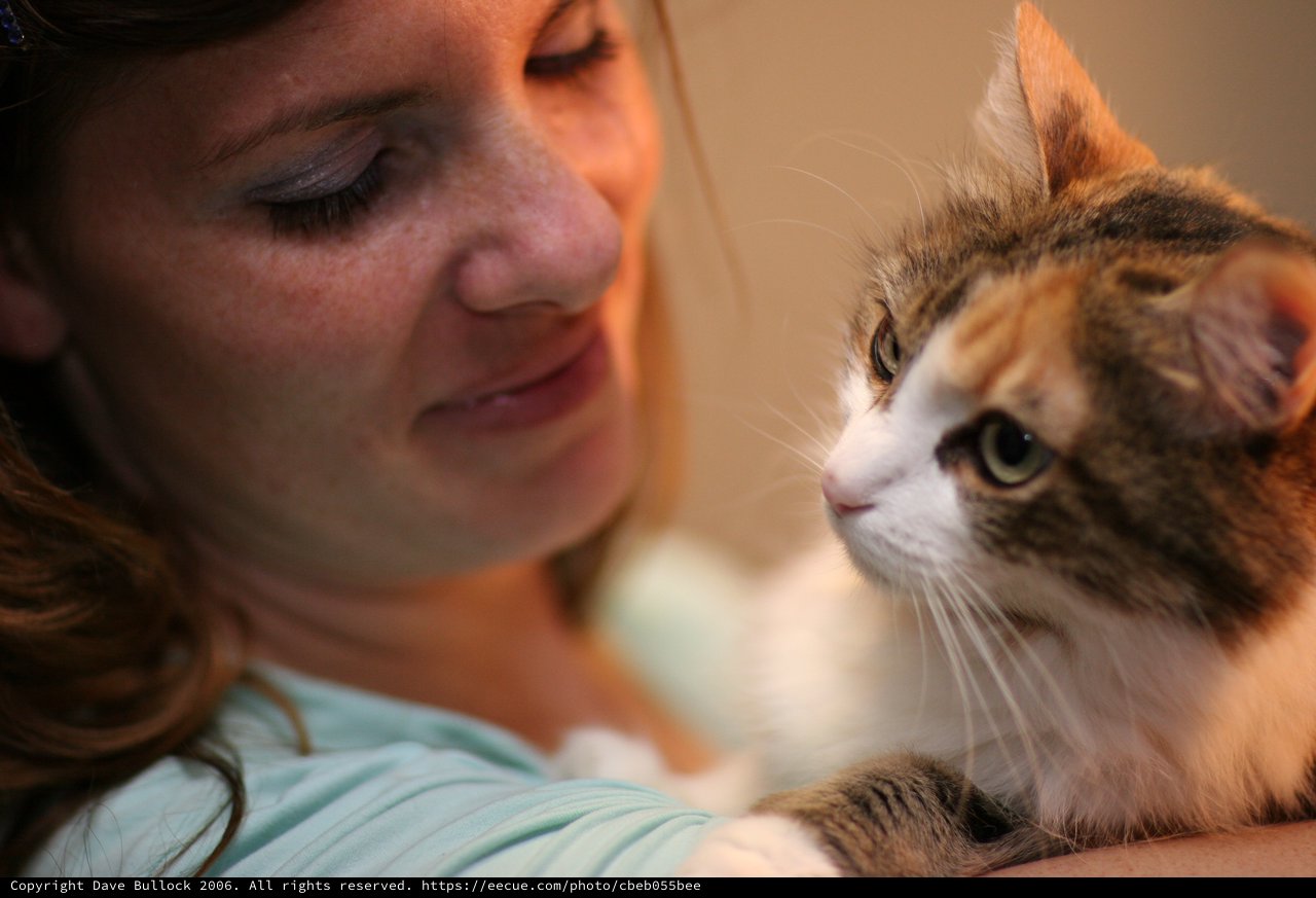 Tender Moment Between Woman and Calico Cat