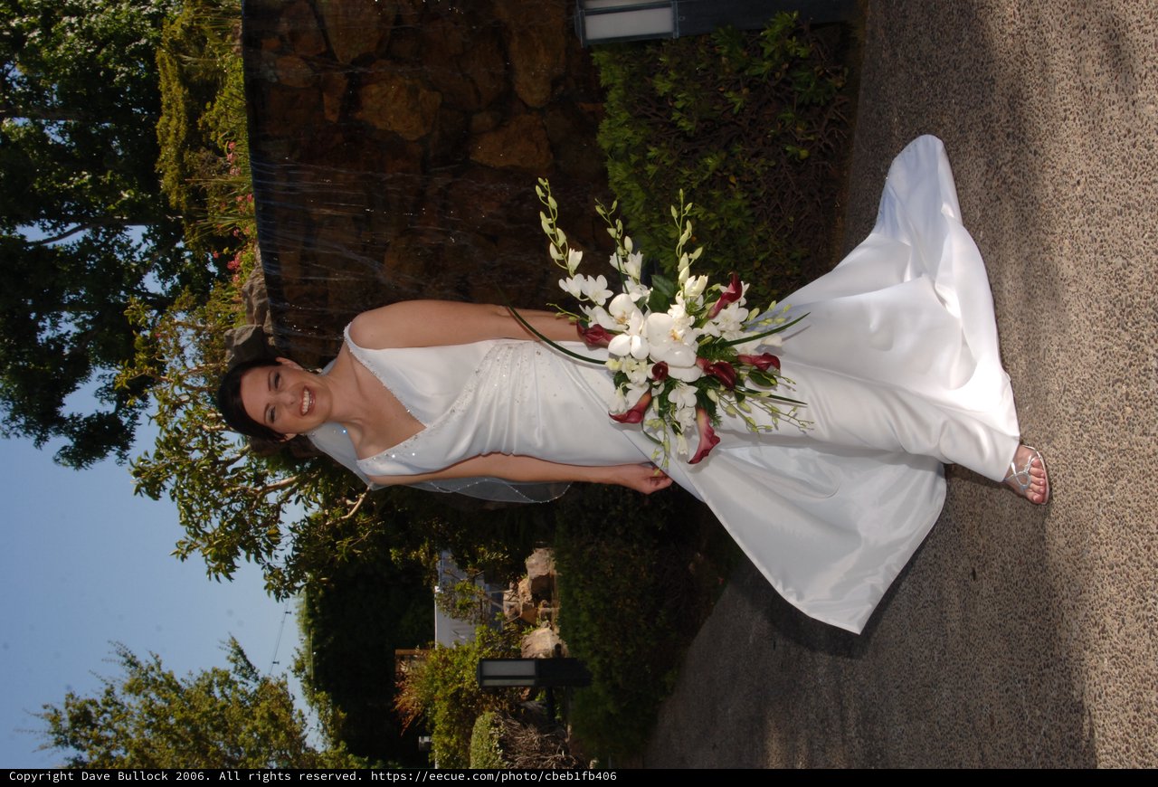 Radiant Bride Poses Before Stone Waterfall Feature