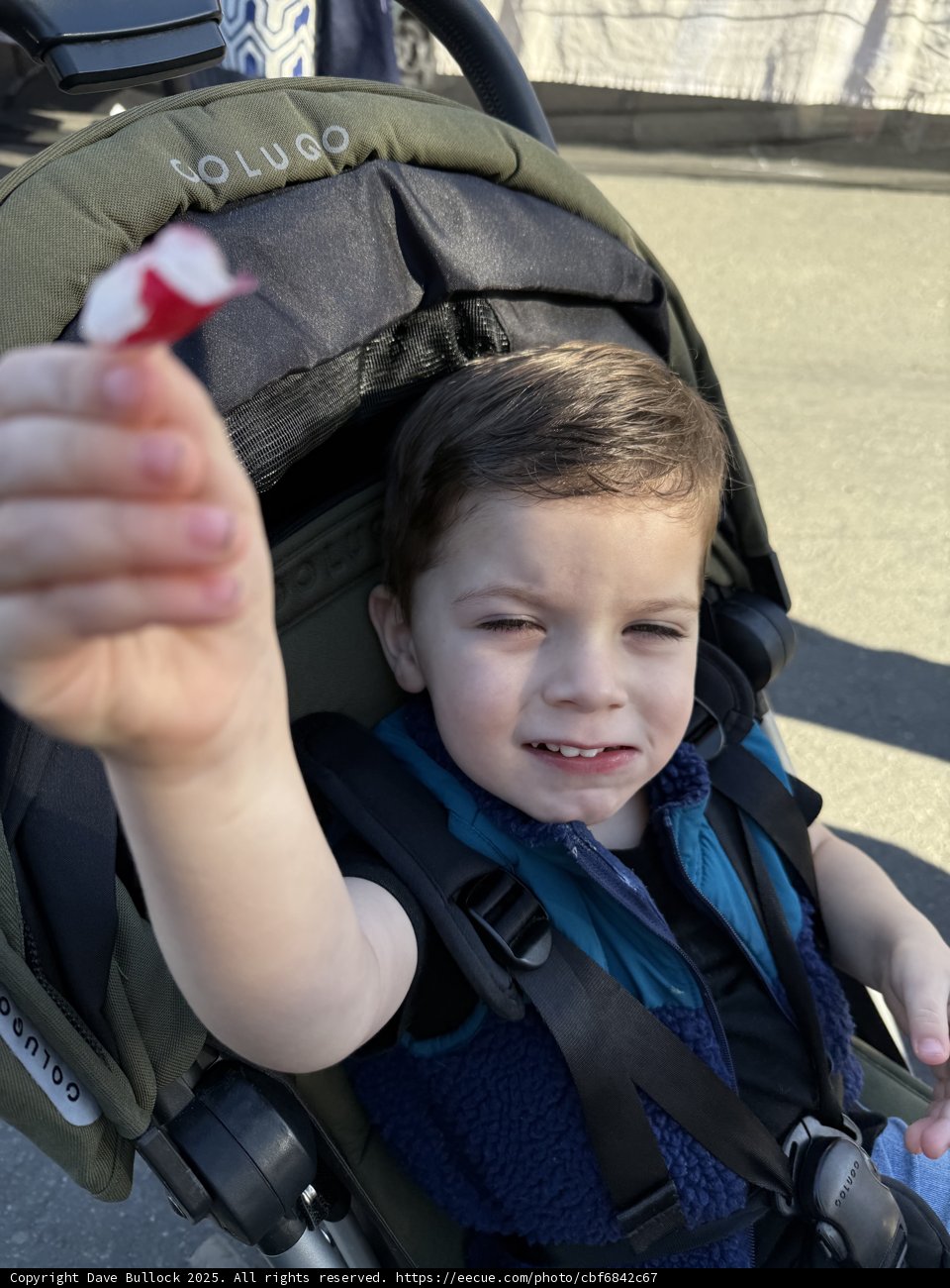 Tiny Explorer in Walnut Creek