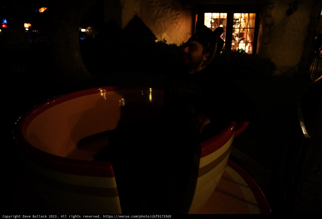 A Magical Night in Wonderland