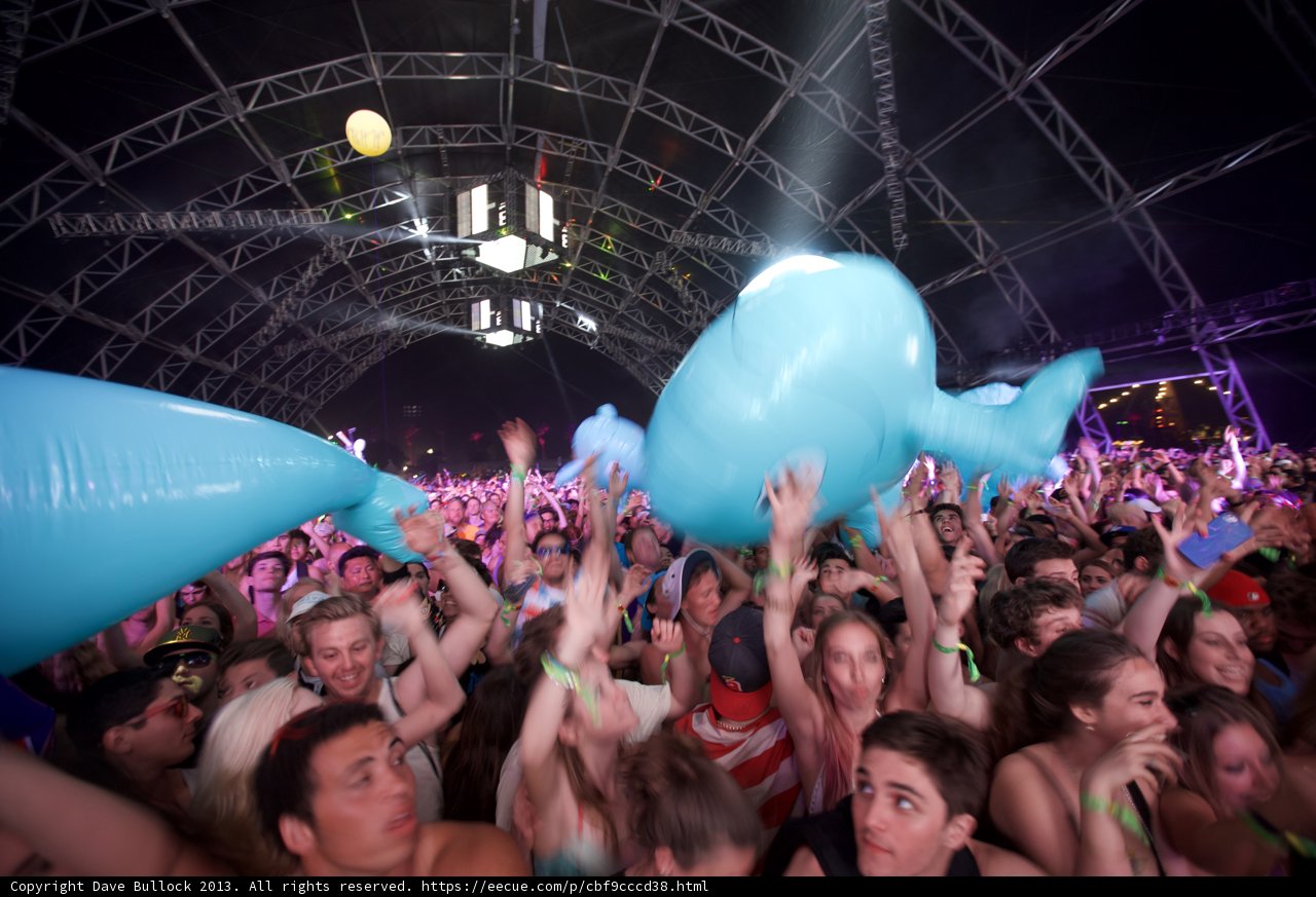 Whales and Music: A Festival Extravaganza