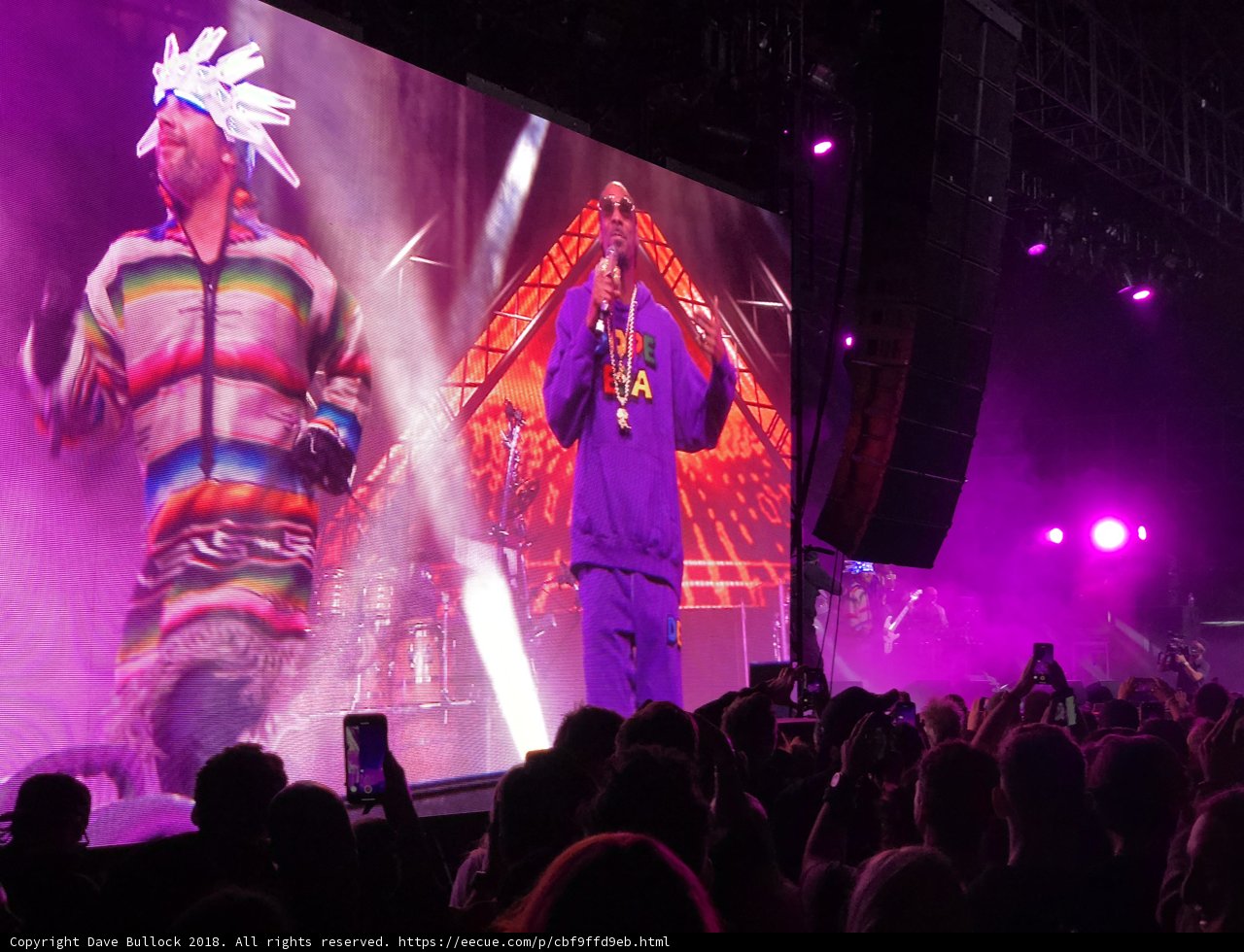 Snoop Dogg Rocks the Stage in Purple