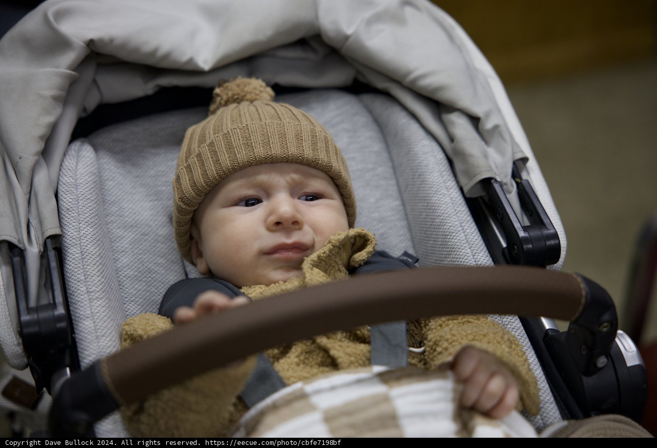 Baby's Day Out at the Railroad Society
