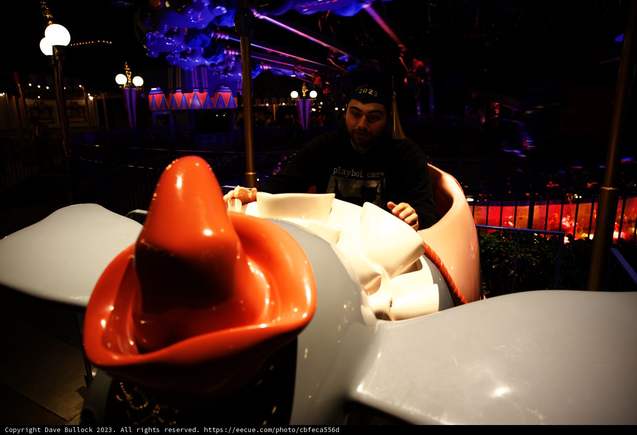 Magical Carousel Moments at Disneyland