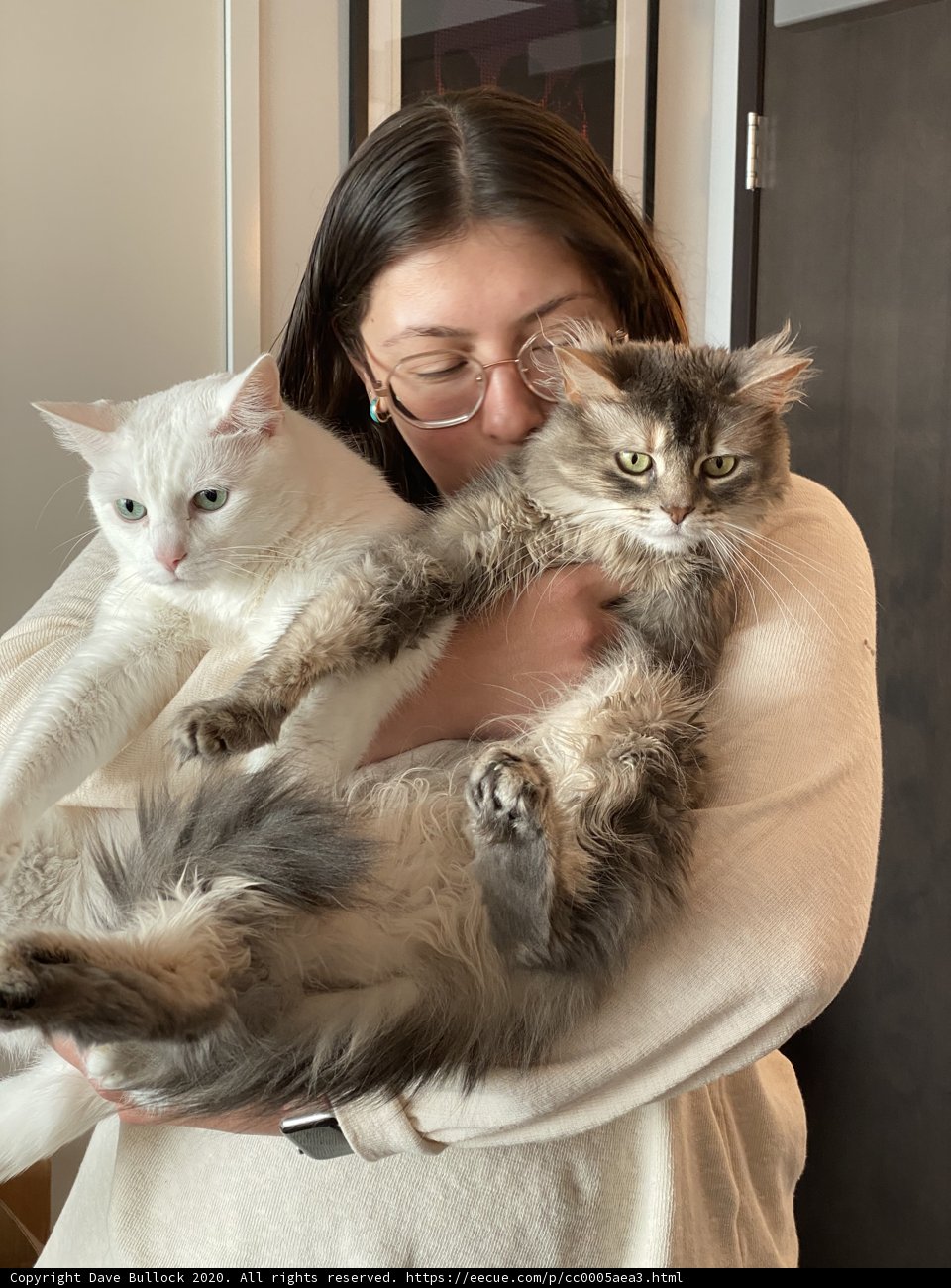 Double the Cuddles